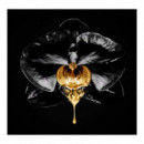 L'Oreal Volume Millon Lashes Waterproof