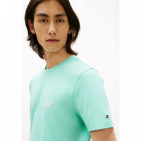 Script Monogram Swimshop Tee Arctic Aqua  TOMMY HILFIGER