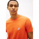 SCRIPT MONOGRAM SWIMSHOP TEE BRILLIANT O