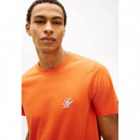 Script Monogram Swimshop Tee Brilliant O  TOMMY HILFIGER