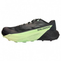 SALOMON Pulsar