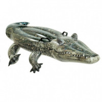 Playa Flotador 1640557