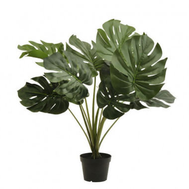 Terraza Y Jard&iacute;n Planta 3549206