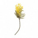 Terraza Y Jardín Vara 3549250