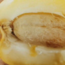 Chloe Nomade Jasmine Naturelle Eau de Parfum