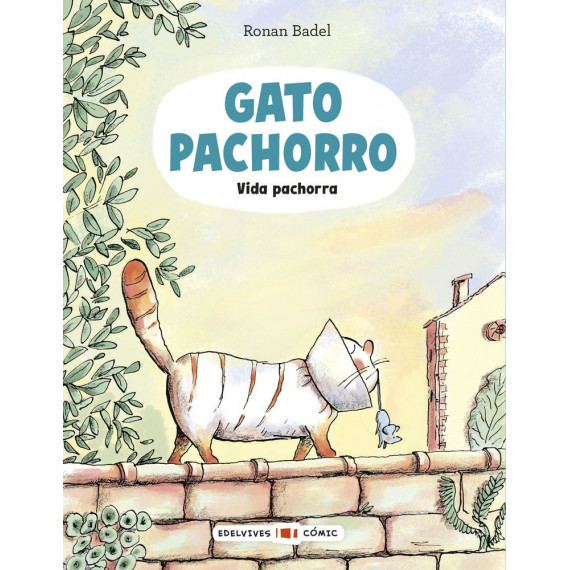 GATO PACHORRO : VIDA PACHORRA