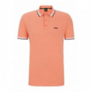 PADDY 10241663 01 OPEN RED