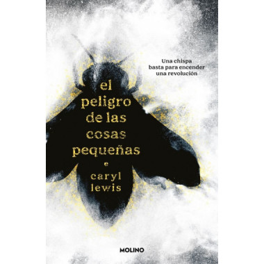 EL PELIGRO DE LAS COSAS PEQUE�AS