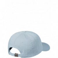 CARHARTT - Madison Logo Cap - 3M8XX - I036730/3M8XX