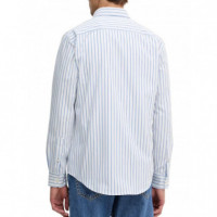 TOMMY HILFIGER - Performance Stripe Poplin - 0FA - F|MW0MW41780/0FA