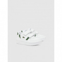 T-CLIP SET 224 4 SUI WHT / DK GRN