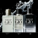 ACQUA DI GIÒ PARFUM