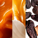 Good Girl Jasmine Absolute