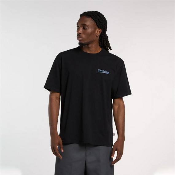 Camiseta DICKIES Fairlawn