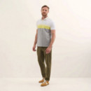 LIFESTYLE POLO STRIPES LIME