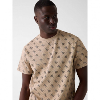 CN SS JACQUARD 4G KNIT TOP TAUPE/BLUE AO