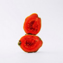 Solo Eau De Toilette 
Estuche