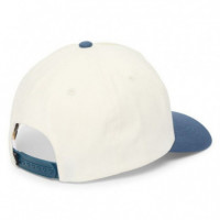 Gorra VOLCOM Petrolstone ADJ