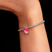 Charm Pink Snail 794553C01