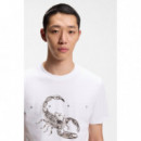 Discorb 10258299 01 White  HUGO