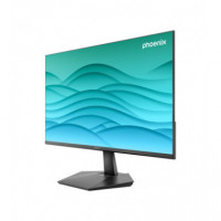 Monitor PHOENIX Level 24" IPS 100HZ HDMI Displayport Frameless