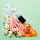 Paradoxe Eau de Parfum 
estuche  PRADA