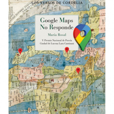 GOOGLE MAPS NO RESPONDE