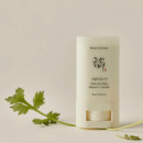 Matte Sun Stick : Mugwort+Camelia (SPF 50+ PA++++)
Stick Protector Facial