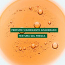 Galanga Shampoing
Champú Requilibrante Galanga