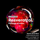 Glacial Trio 10 en 1 Vitamino Color Estuche Champú + Mascarilla + Spray  LOREAL PROFESSIONNEL