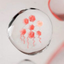 XeraCalm Baume Bálsamo Relipidizante