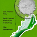 Rare Earth Deep Pore Cleansing Mask
Mascarilla Facial