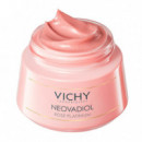 Neovadiol Rose Platinium Day Cream
crema de Día Antiedad  VICHY