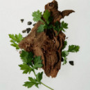 Calming  Serum Green Tea + Panthenol
Sérum  Hidratante - Calmante