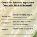 Heartleaf Quercetinol Pore Deep Cleansing Foam
tratamiento Limpieza Profunda  ANUA