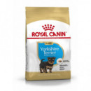 Royal Jr. Yorkshire 500 Gr  ROYAL CANIN