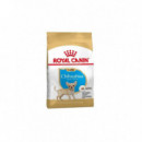 Royal Jr. Chihuahua 1,5 Kg  ROYAL CANIN