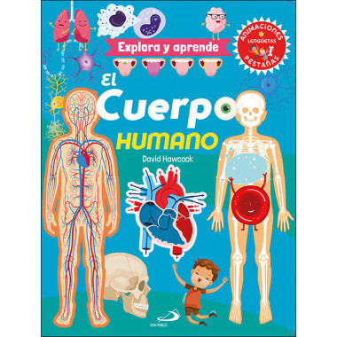 EL CUERPO HUMANO