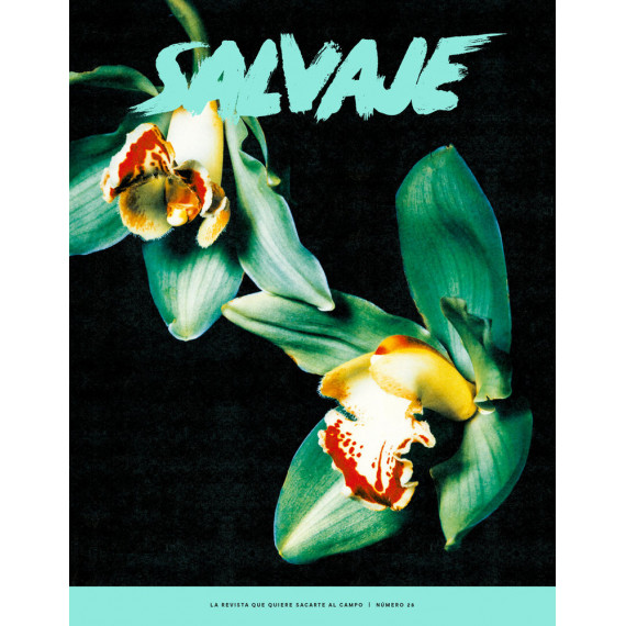 REVISTA SALVAJE 28