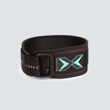 Cintur&oacute;n Picsil burgundy