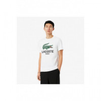 Camisetas Manga Corta Tee Shirt Blanc  LACOSTE