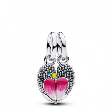 Pandora Charm Colgante Divisible 794484C01