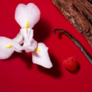 Giorgio Armani Si Passione Red Bloom Eau de Parfum