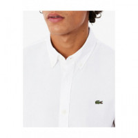 Camisas SHORT SLEEVED CASUAL