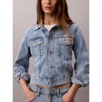 LS CLASSIC TRUCKER COASTAL LIGHT COASTAL