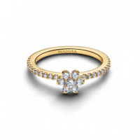 Pandora Anillo con un recubrimiento electrolítico en oro 164499C01