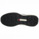 SALOMON Genesis