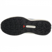 SALOMON Genesis