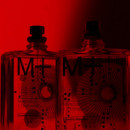 Molecule 01 + Champaca