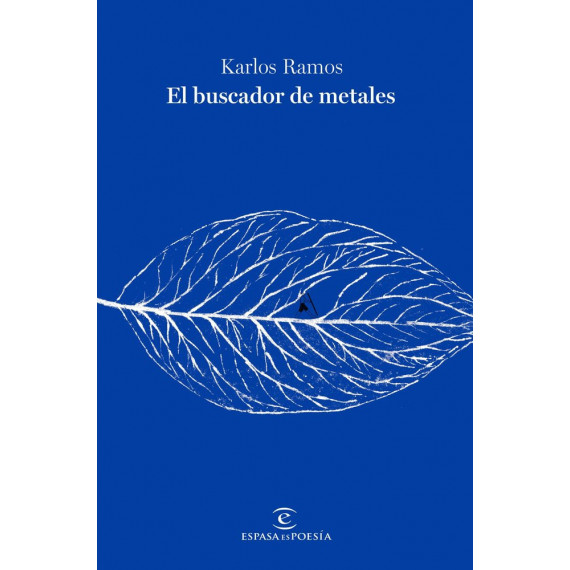 EL BUSCADOR DE METALES